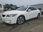 2009 Honda Accord Exl White vin: 1HGCS12819A011260