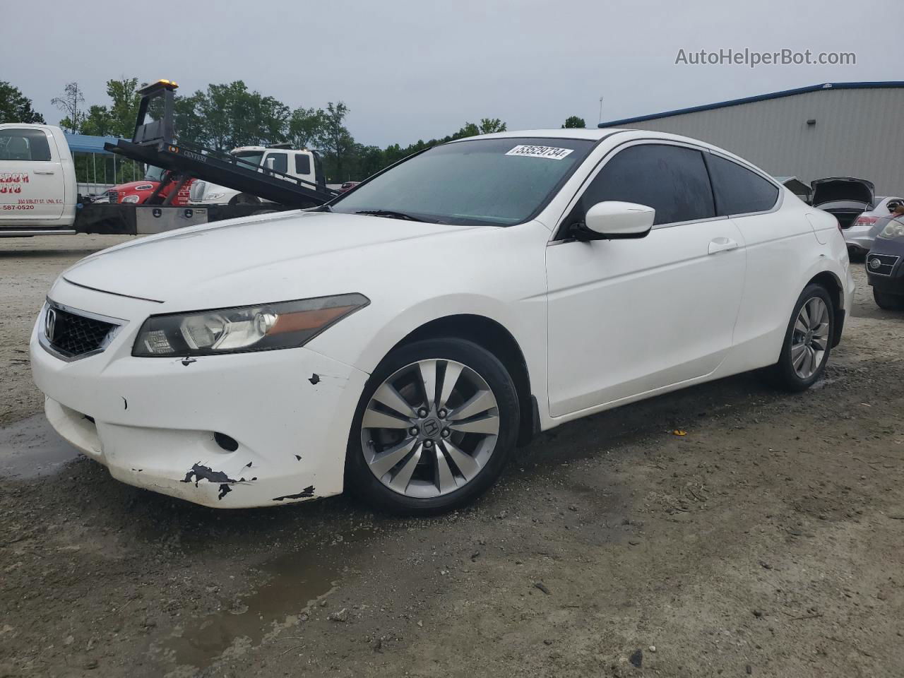 2009 Honda Accord Exl Белый vin: 1HGCS12819A011260