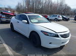 2008 Honda Accord 2.4 Ex-l White vin: 1HGCS12838A011419