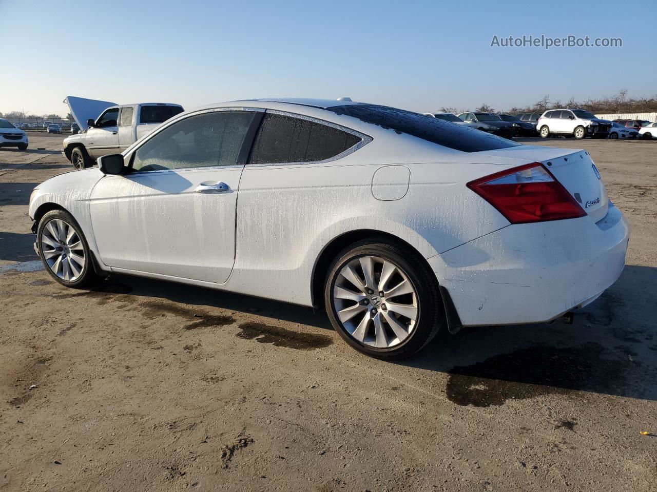 2008 Honda Accord Exl White vin: 1HGCS22818A014034