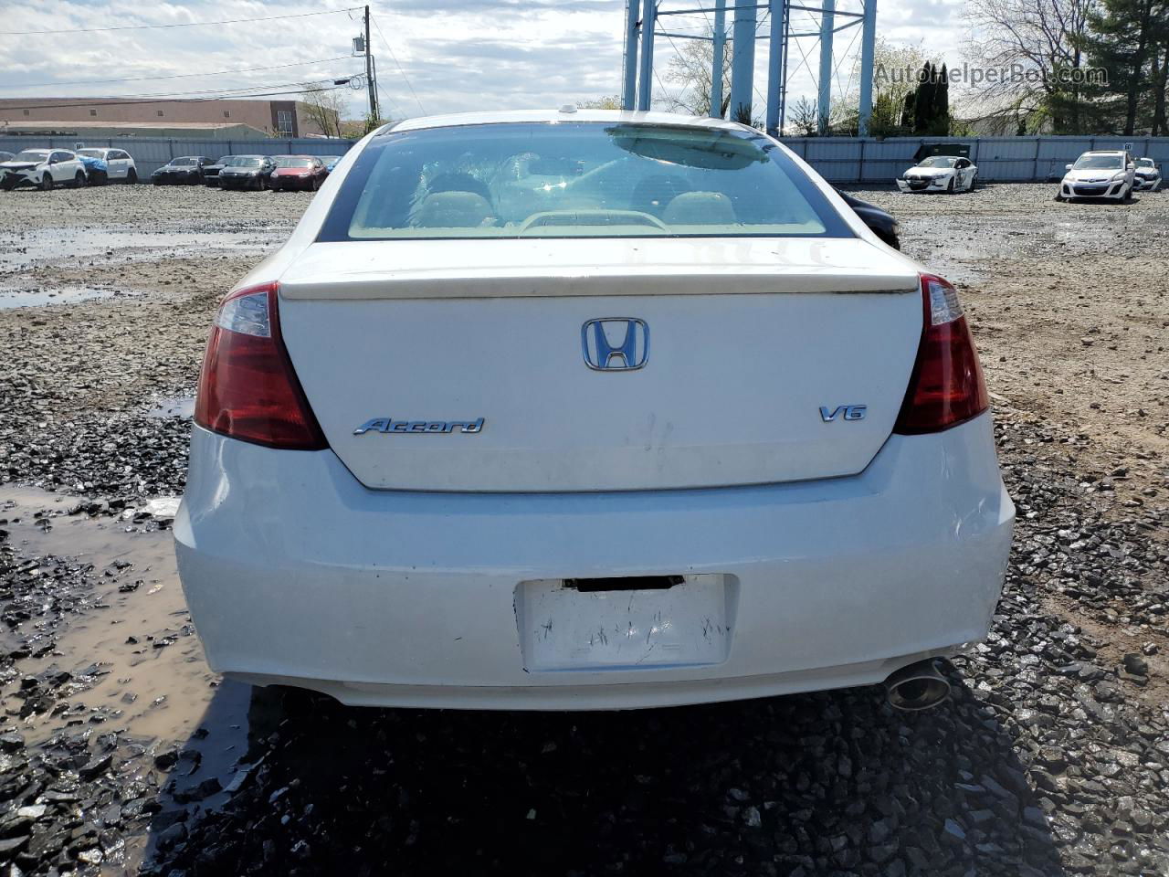 2008 Honda Accord Exl White vin: 1HGCS22818A015328