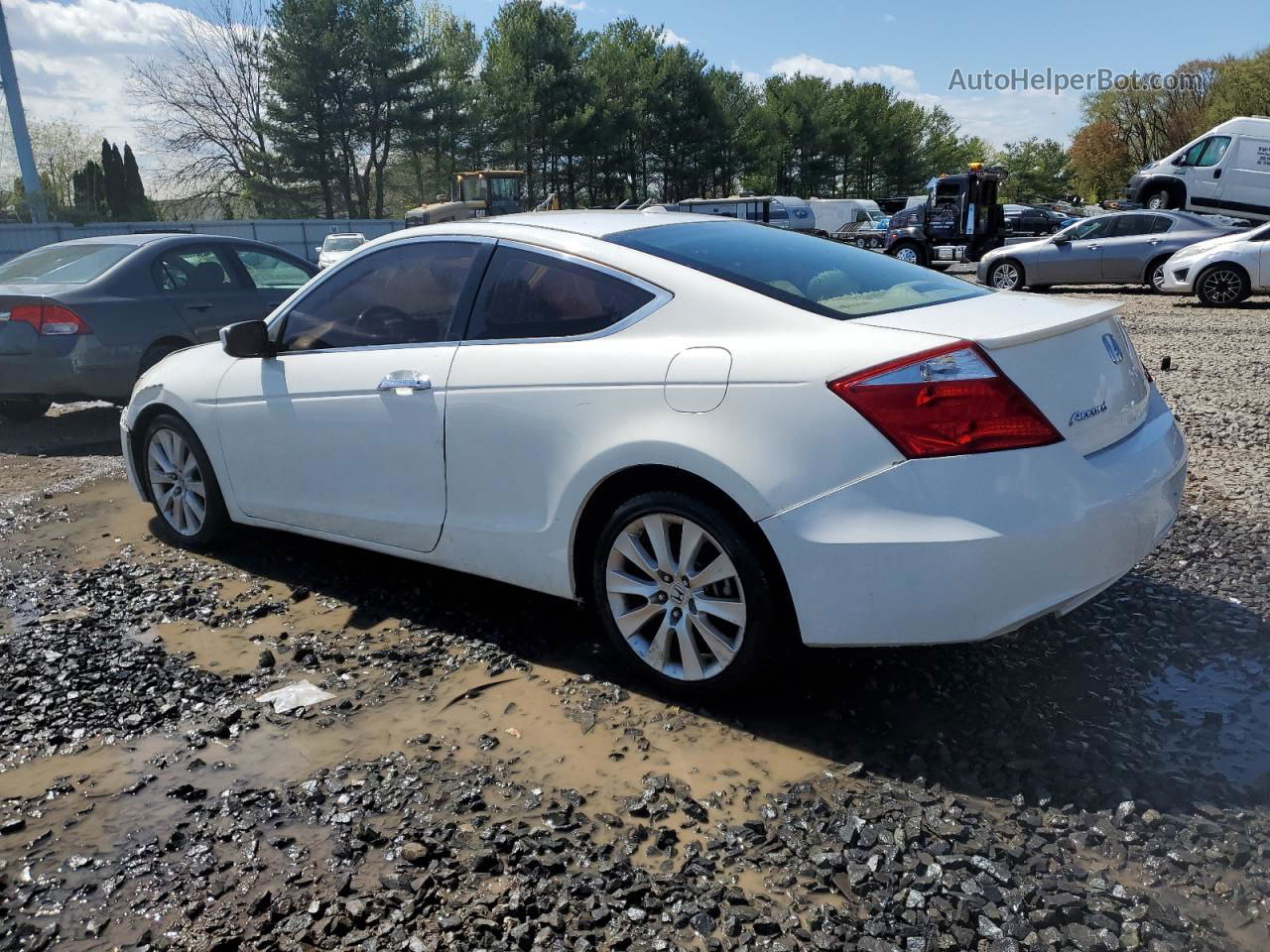 2008 Honda Accord Exl White vin: 1HGCS22818A015328