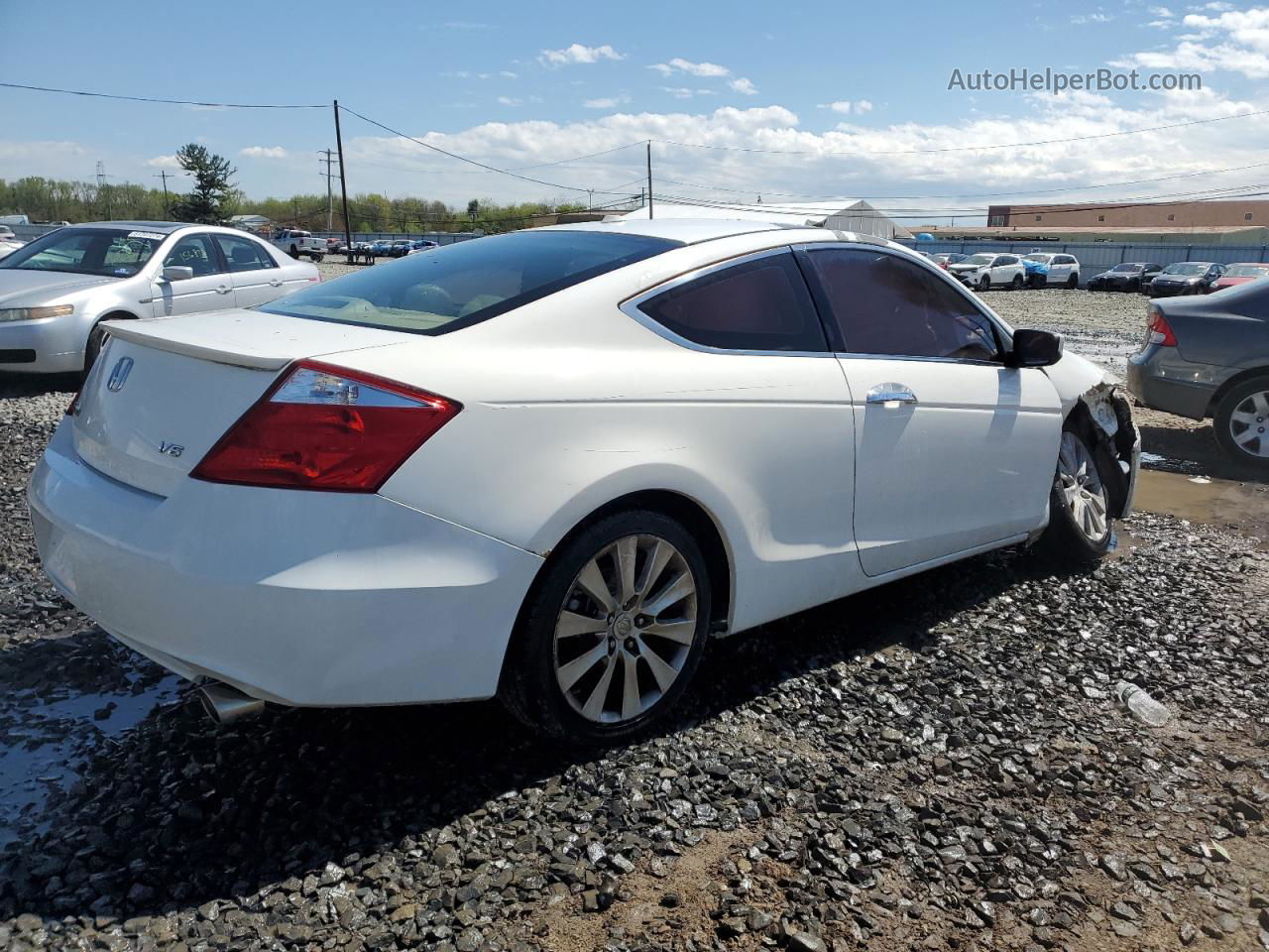 2008 Honda Accord Exl White vin: 1HGCS22818A015328