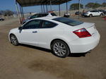 2008 Honda Accord Exl Белый vin: 1HGCS22838A010681