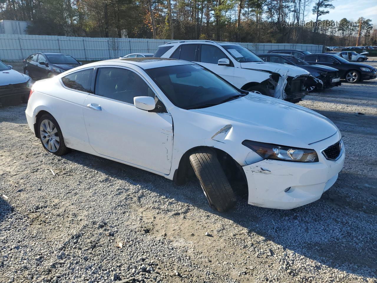 2009 Honda Accord Exl White vin: 1HGCS22859A003068