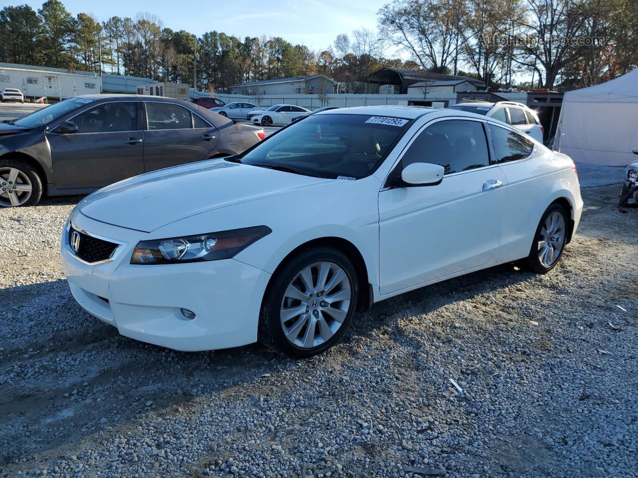 2009 Honda Accord Exl White vin: 1HGCS22859A003068