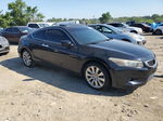 2009 Honda Accord Exl Black vin: 1HGCS22869A002916