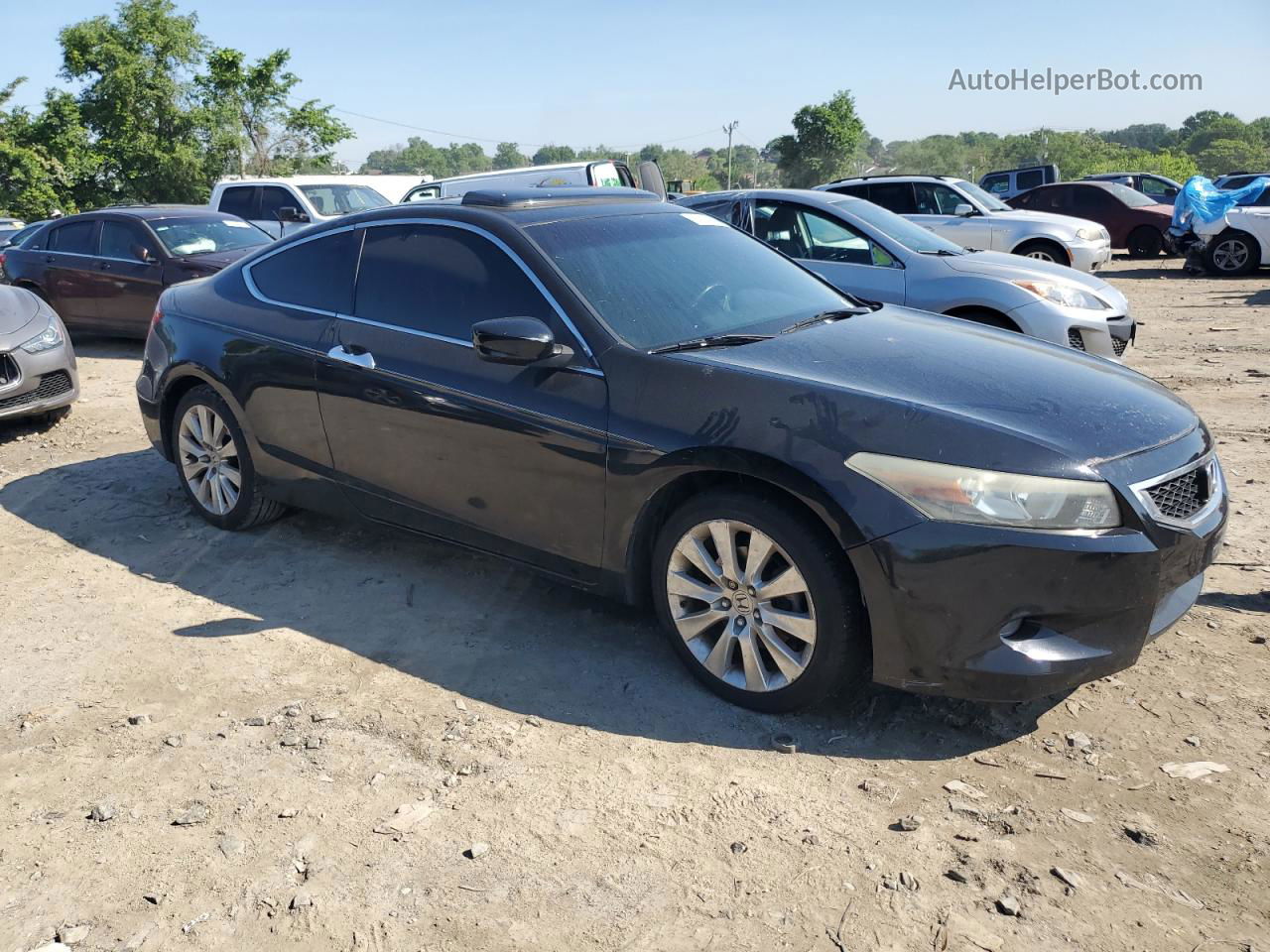 2009 Honda Accord Exl Black vin: 1HGCS22869A002916