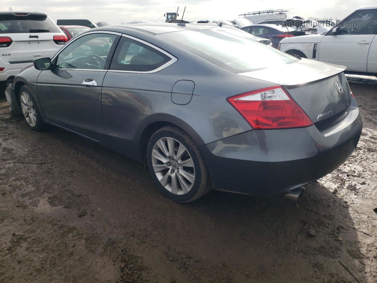 2009 Honda Accord Exl Gray vin: 1HGCS22869A005556