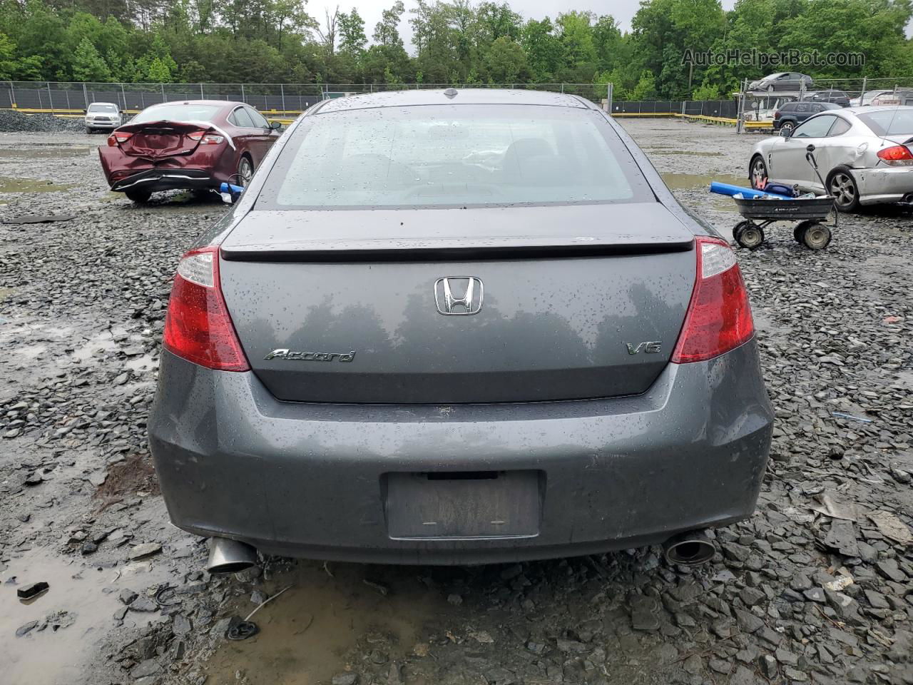 2008 Honda Accord Exl Gray vin: 1HGCS22888A016220