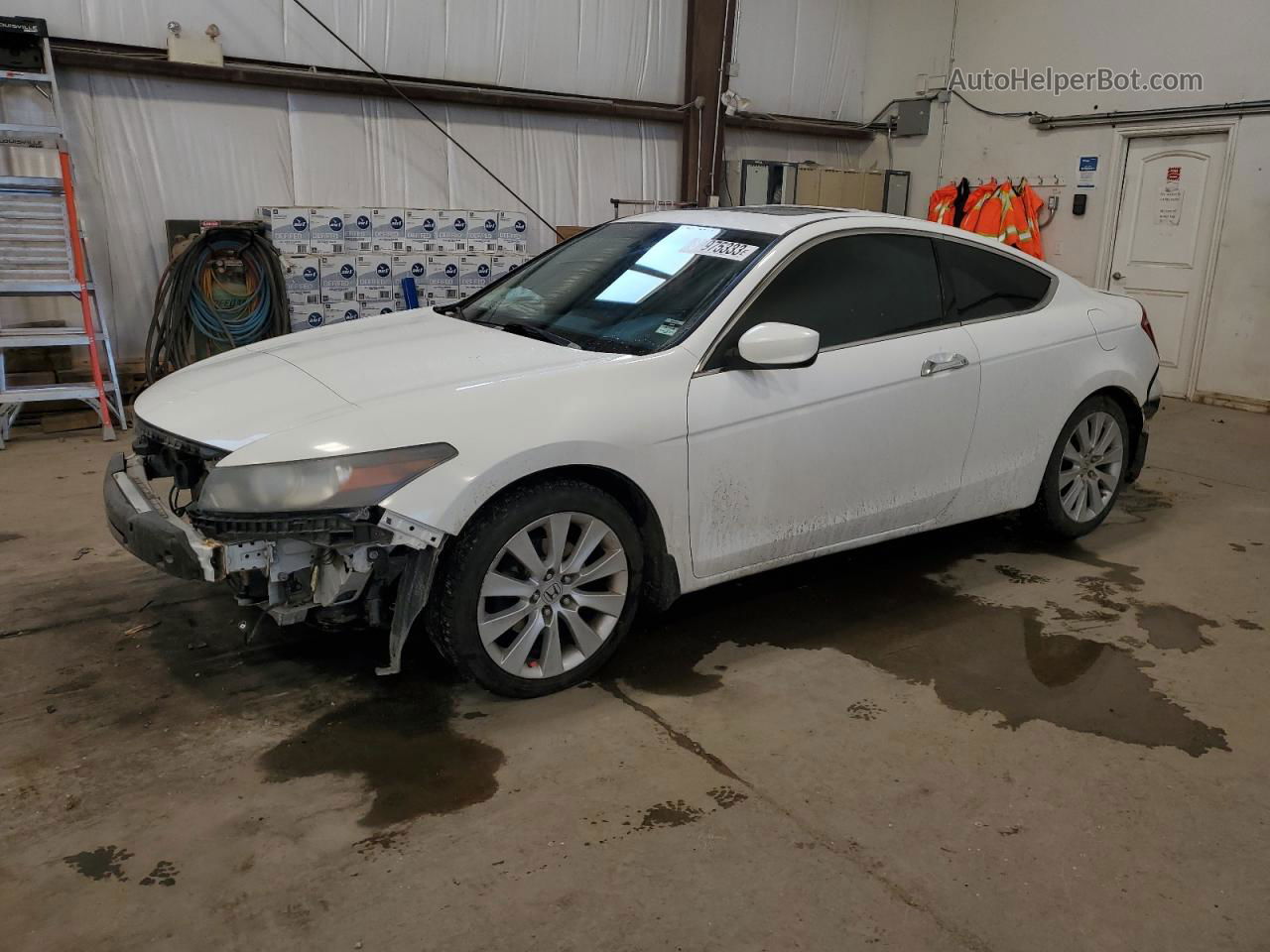 2009 Honda Accord Exl White vin: 1HGCS228X9A800643