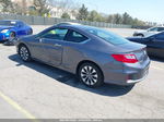 2015 Honda Accord Ex Gray vin: 1HGCT1B77FA015507