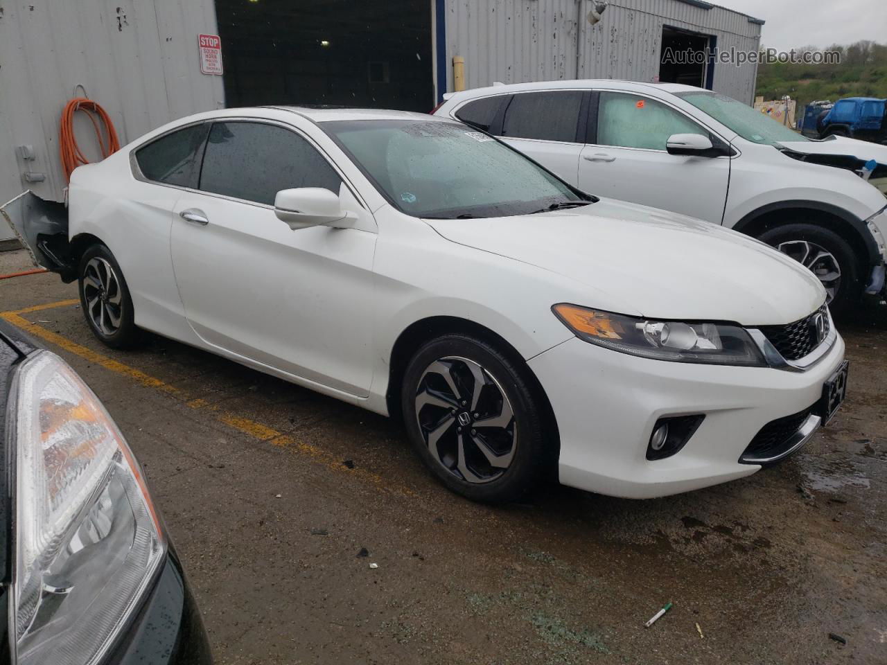 2014 Honda Accord Exl Белый vin: 1HGCT1B81EA014781