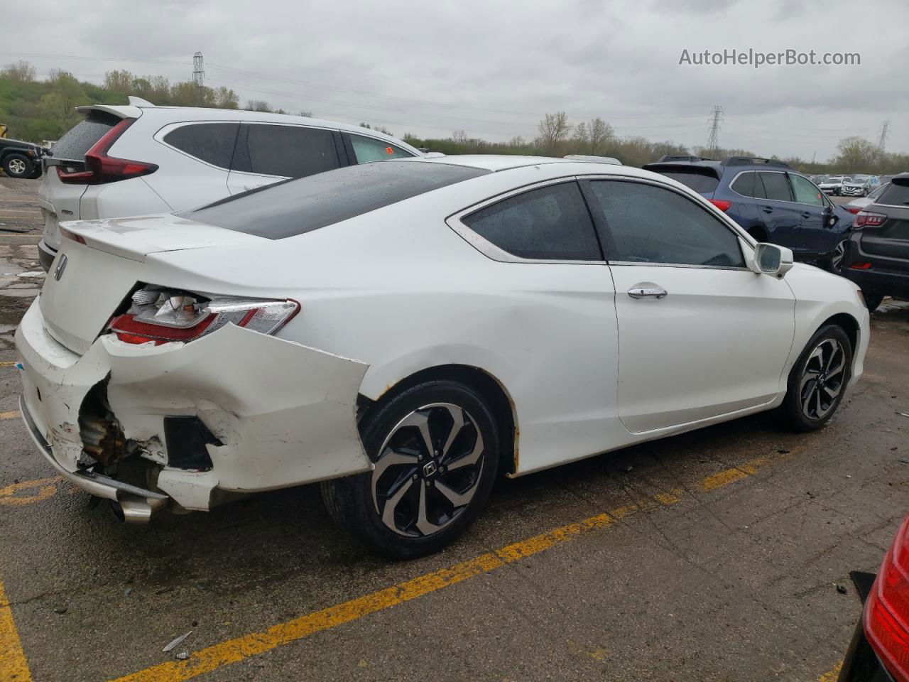 2014 Honda Accord Exl White vin: 1HGCT1B81EA014781