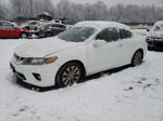 2014 Honda Accord Exl White vin: 1HGCT1B82EA004129