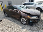 2015 Honda Accord Exl Коричневый vin: 1HGCT1B84FA008801