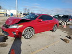 2014 Honda Accord Exl Red vin: 1HGCT2A86EA007901