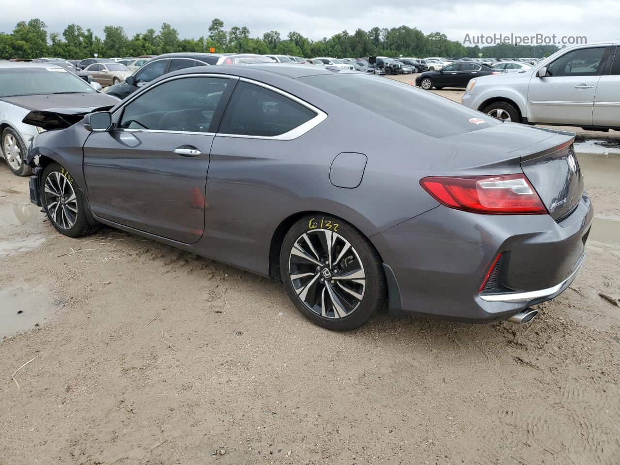 2017 Honda Accord Exl Gray vin: 1HGCT2B83HA006353