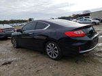 2014 Honda Accord Exl Black vin: 1HGCT2B86EA001014