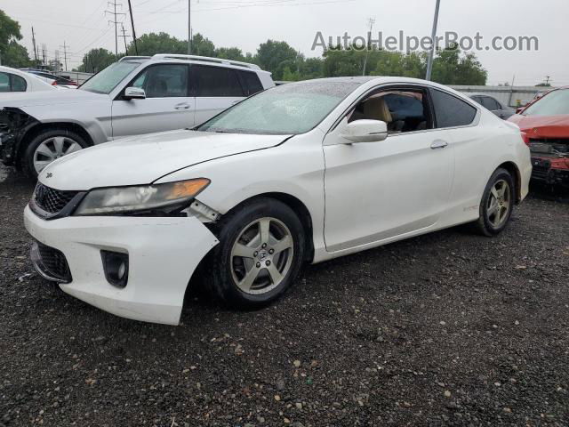 2014 Honda Accord Exl White vin: 1HGCT2B86EA008870