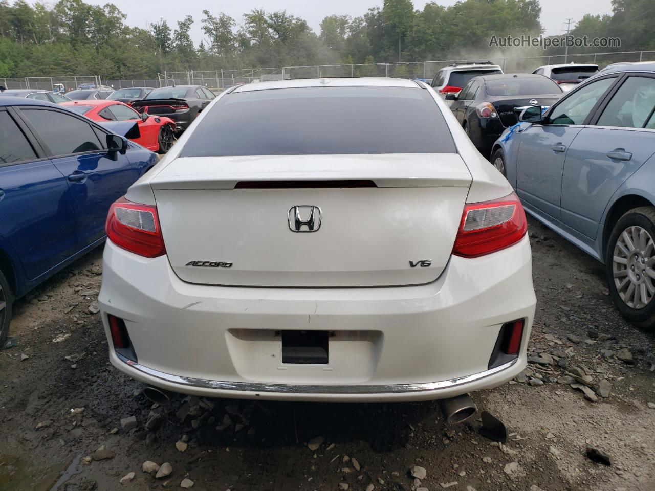 2014 Honda Accord Exl Белый vin: 1HGCT2B89EA005042