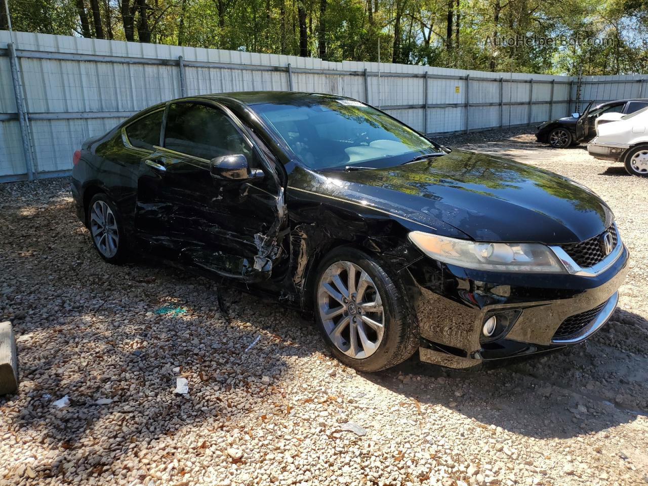 2014 Honda Accord Exl Black vin: 1HGCT2B8XEA000268