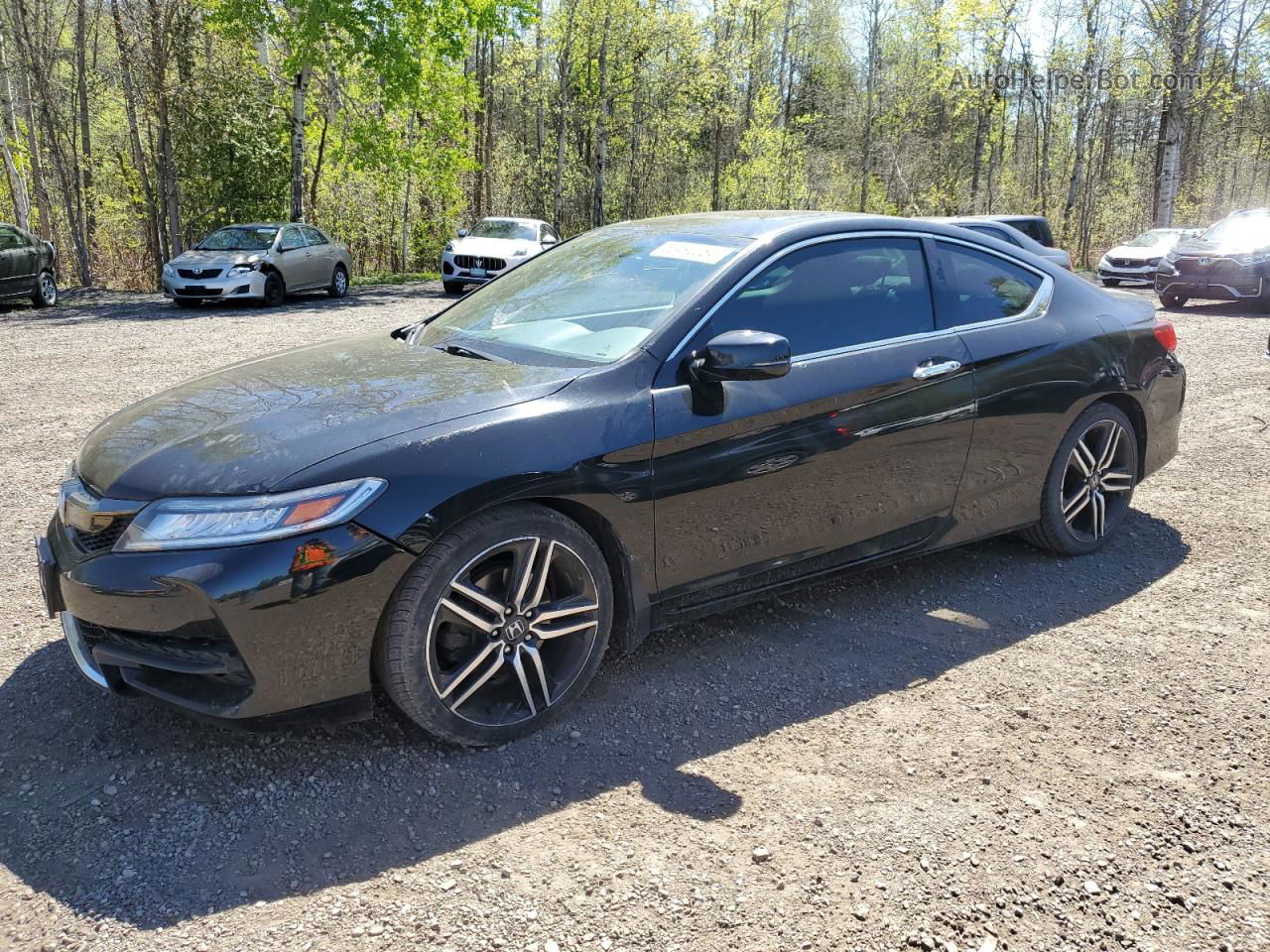 2016 Honda Accord Exl Black vin: 1HGCT2B93GA800292