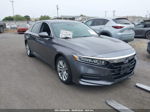 2019 Honda Accord Lx Серый vin: 1HGCV1F13KA019788