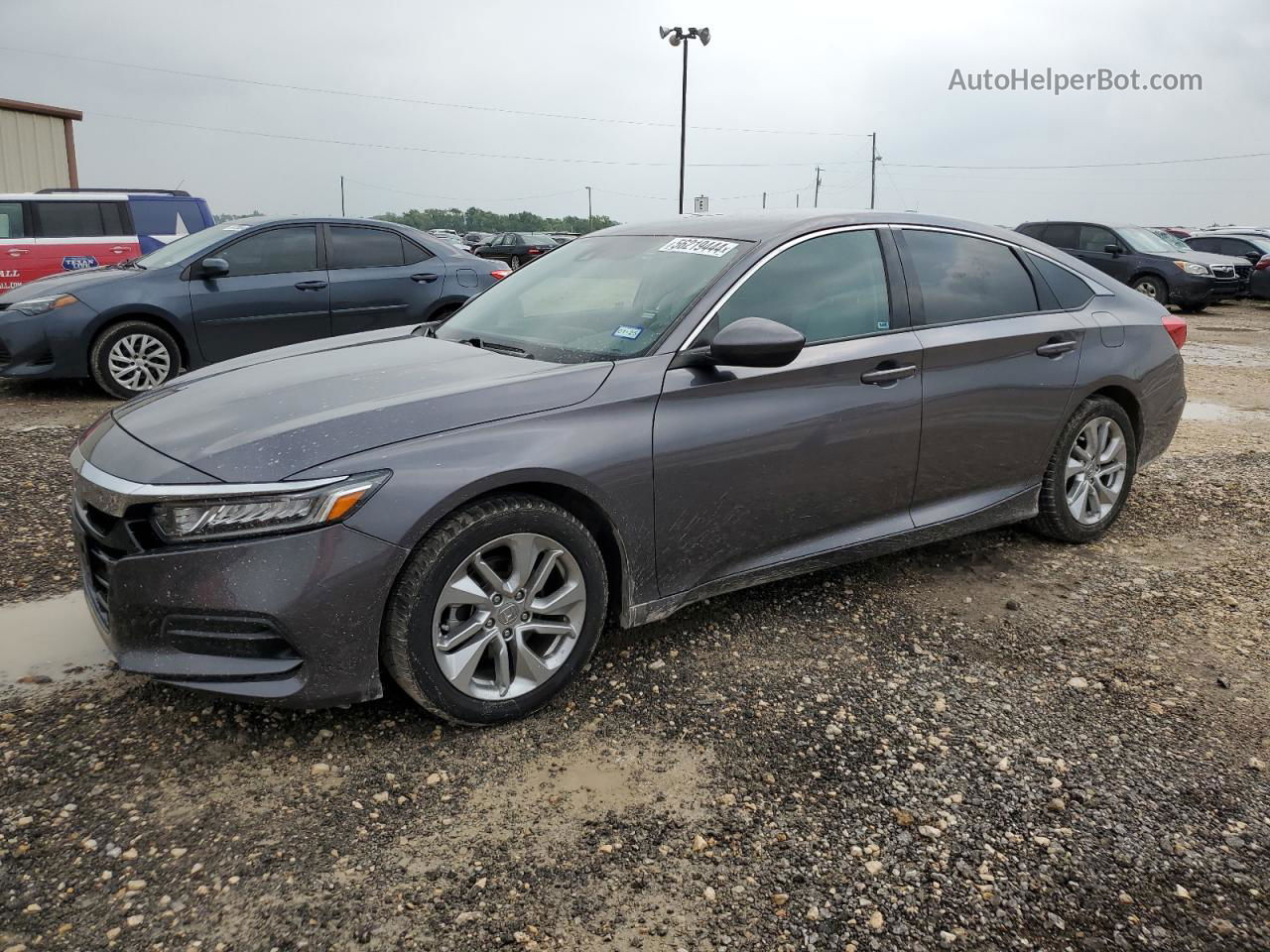 2019 Honda Accord Lx Gray vin: 1HGCV1F17KA054804