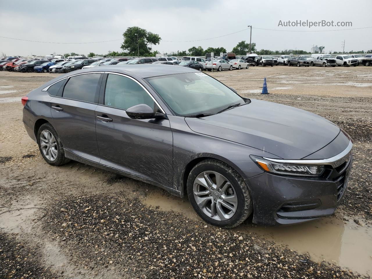 2019 Honda Accord Lx Gray vin: 1HGCV1F17KA054804