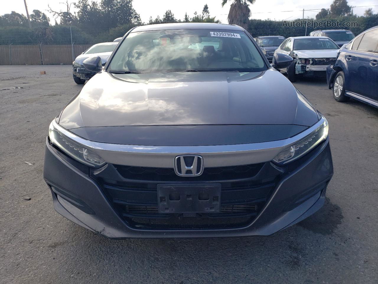 2019 Honda Accord Lx Gray vin: 1HGCV1F19KA041827