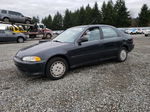 1995 Honda Civic Lx Серый vin: 1HGEG8553SL015583