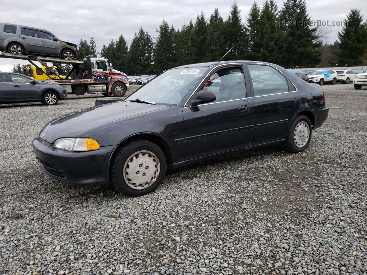 1995 Honda Civic Lx Gray vin: 1HGEG8553SL015583