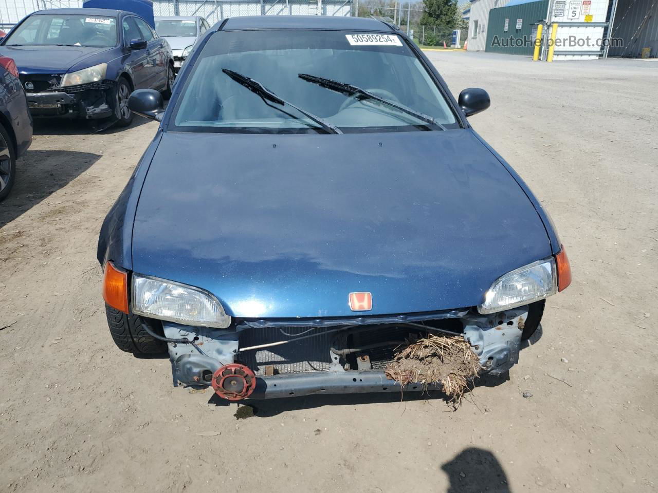 1995 Honda Civic Lx Синий vin: 1HGEG8554SL028844