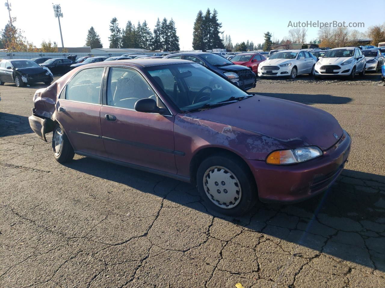 1994 Honda Civic Lx Purple vin: 1HGEG8559RL004758