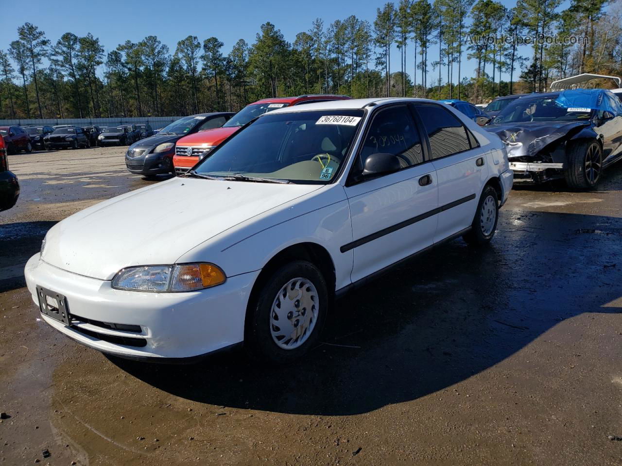 1995 Honda Civic Dx White vin: 1HGEG8643SL048623