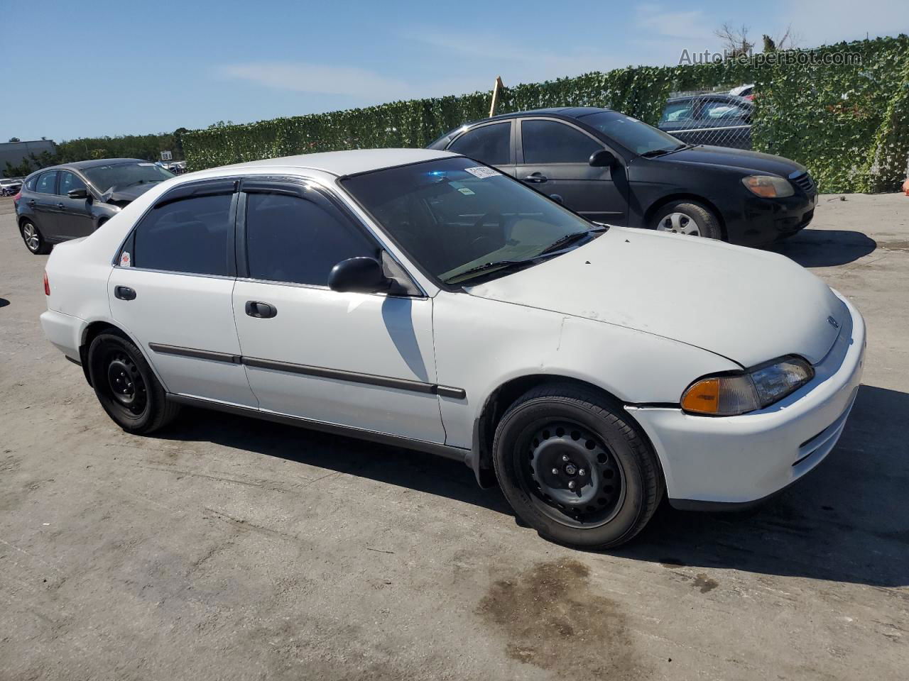 1993 Honda Civic Lx White vin: 1HGEG8653PL028890