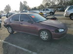 1994 Honda Civic Lx Purple vin: 1HGEG8661RL011906