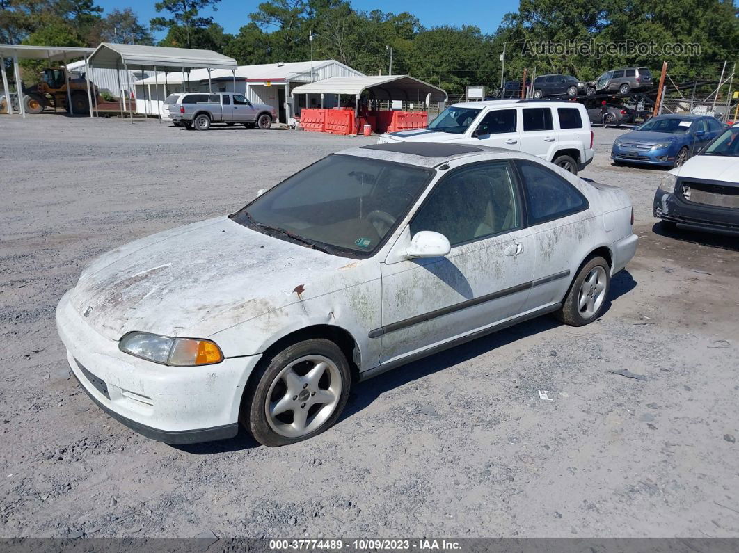 1993 Honda Civic Ex White vin: 1HGEJ1164PL051538