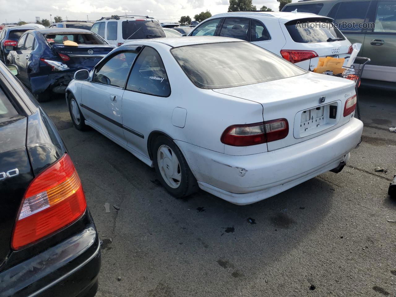 1993 Honda Civic Ex White vin: 1HGEJ1251PL004408