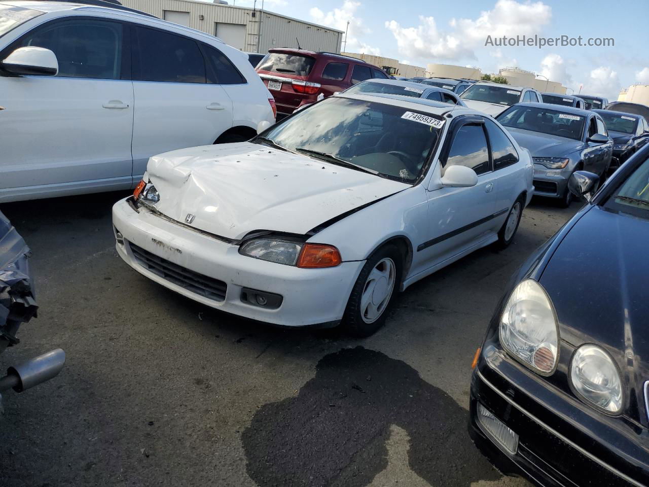 1993 Honda Civic Ex White vin: 1HGEJ1251PL004408