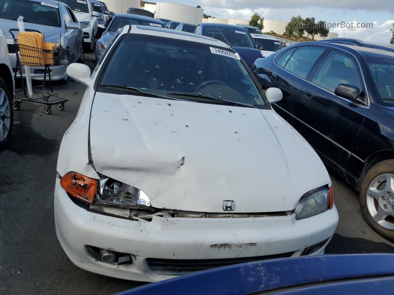 1993 Honda Civic Ex White vin: 1HGEJ1251PL004408