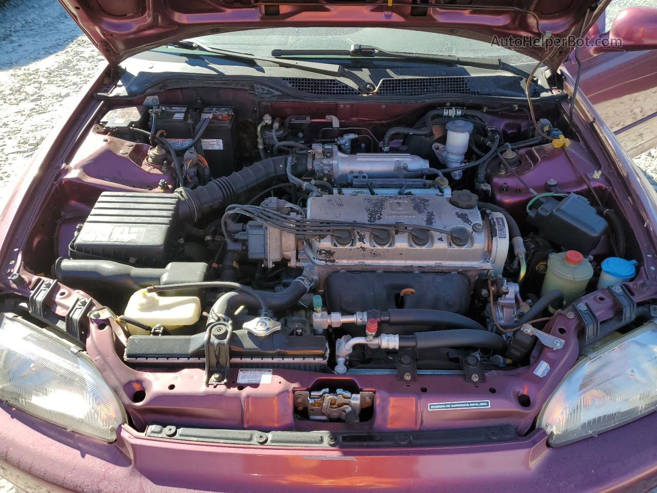 1993 Honda Civic Ex Pink vin: 1HGEJ1265PL051000