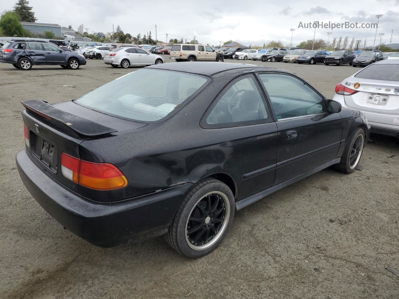 1996 Honda Civic Ex Black vin: 1HGEJ8242TL052994