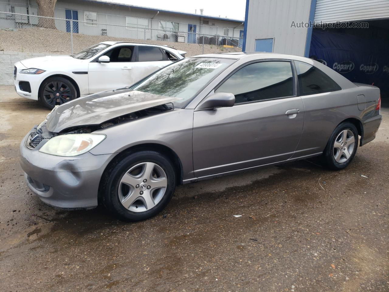 2004 Honda Civic Ex Gray vin: 1HGEM22964L077656