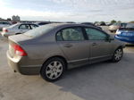 2008 Honda Civic Lx Серый vin: 1HGFA16508L040946