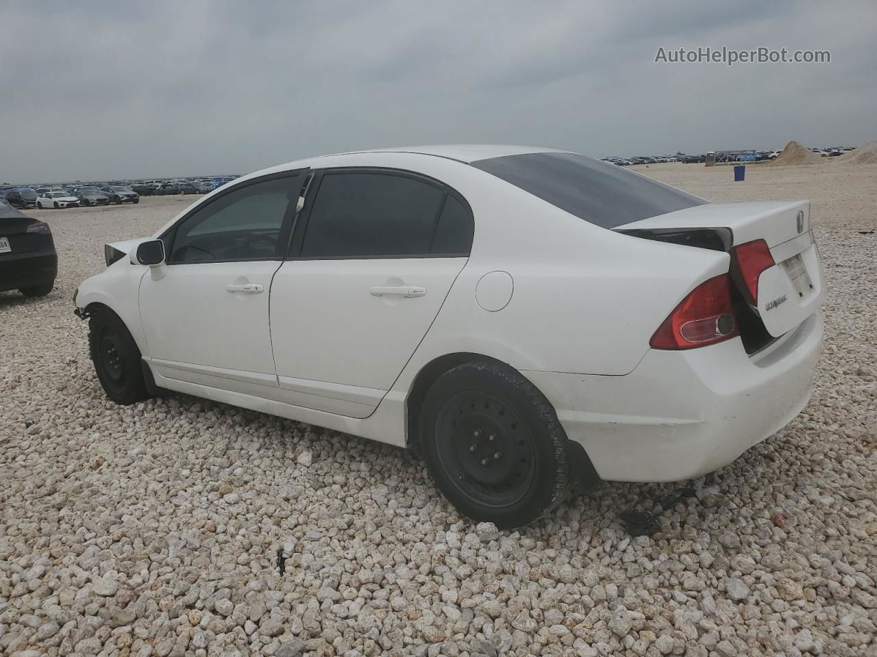 2008 Honda Civic Lx Белый vin: 1HGFA165X8L100103