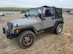 2000 Jeep Wrangler / Tj Sport Серый vin: 1J4FA49S0YP746061