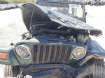 2000 Jeep Wrangler / Tj Sahara Green vin: 1J4FA59S3YP718647