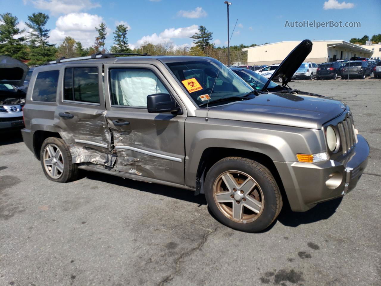 2008 Jeep Patriot Limited Бежевый vin: 1J8FT48W28D534938